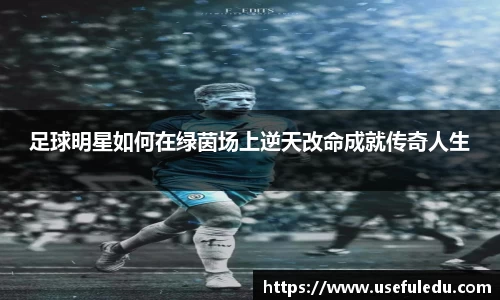 平博pinnacle体育平台