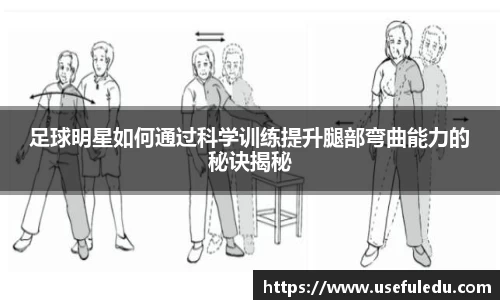 足球明星如何通过科学训练提升腿部弯曲能力的秘诀揭秘